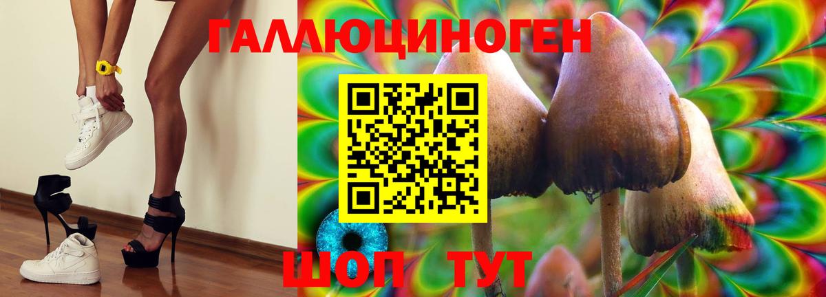 Ахтубинск  Галлюциногенные грибы мухоморы  Вход с VPN 